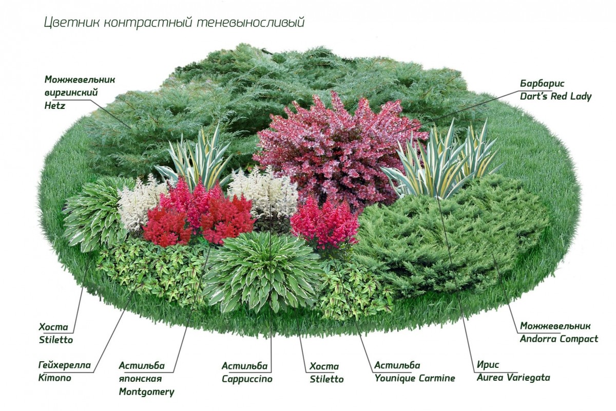 Как создать малоуходный сад: 17 советов от опытного ландшафтного дизайнера
